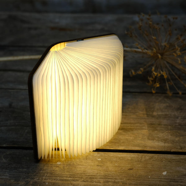 Snape Maltings Mini Smart Booklight in Maple