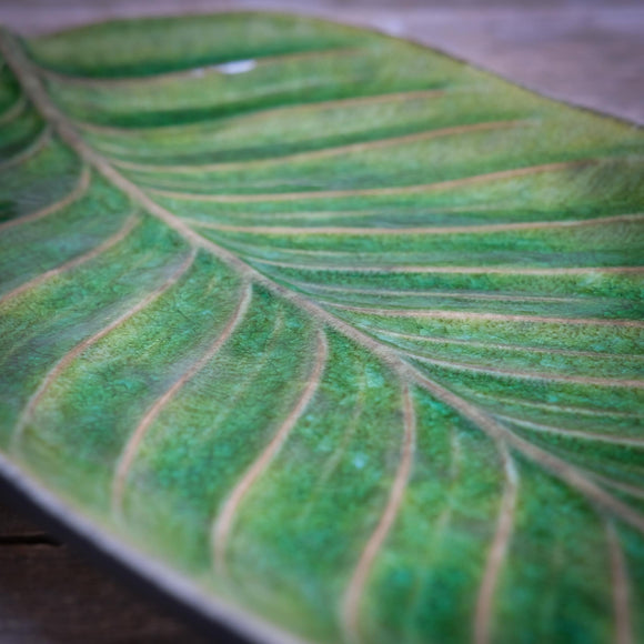 Snape Maltings Strelitzia Leaf Dish
