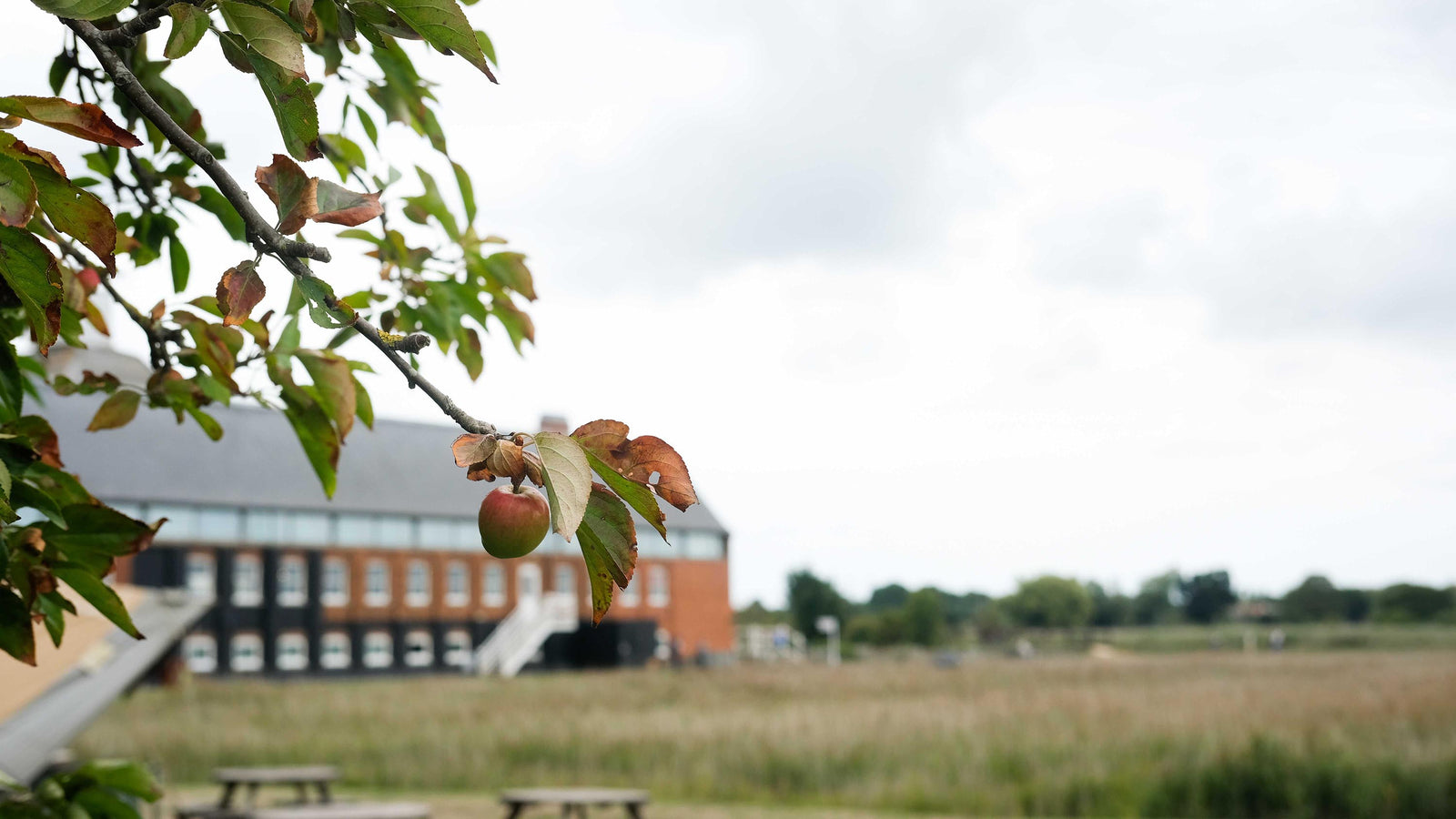 Autumn at Snape Maltings