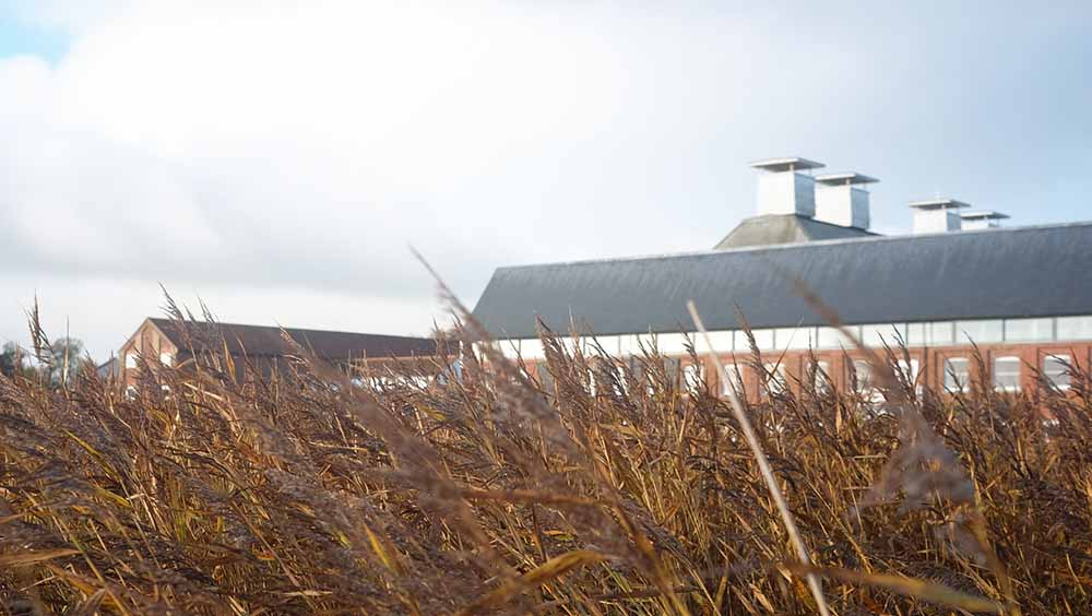 Natural nourishment for the body & soul