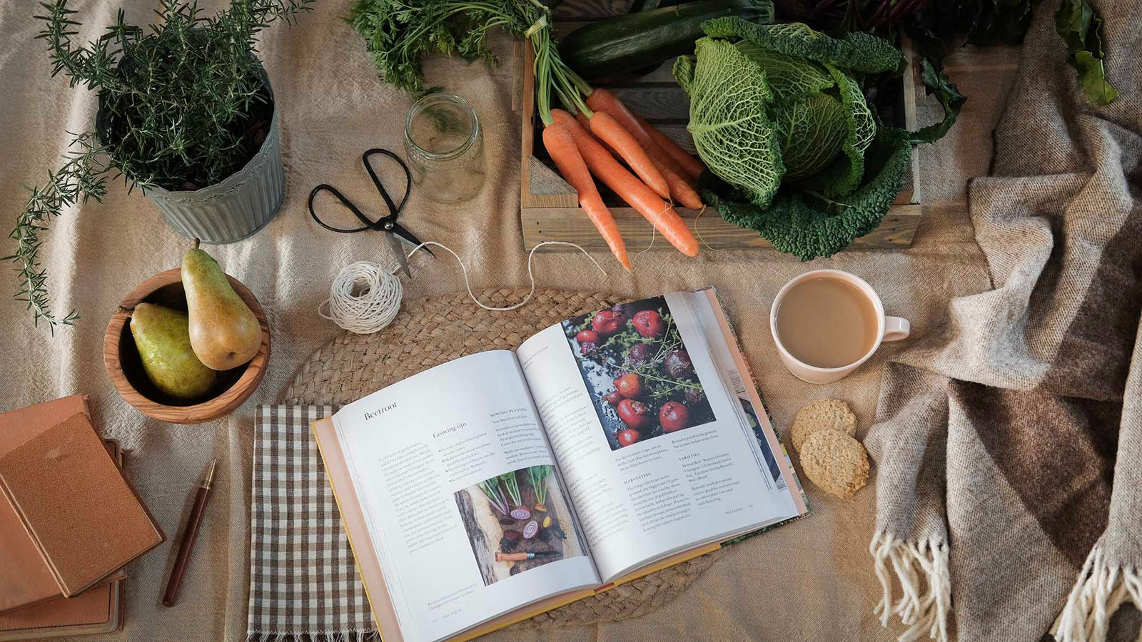 Preparing the potting shed