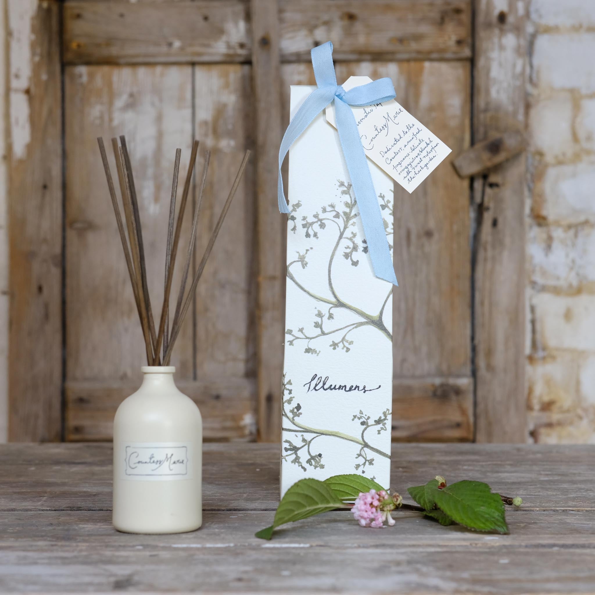Countess Marie Reed Diffuser Abbaye Countess Marie Diffuser – Snape Maltings