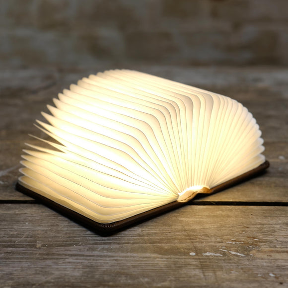 Snape Maltings Mini Smart Booklight in Leather